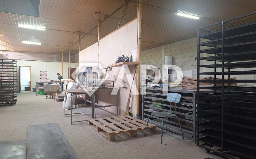 Сдам производственно-торговое помещение, площадью 400м² и 200м² холодный склад фото