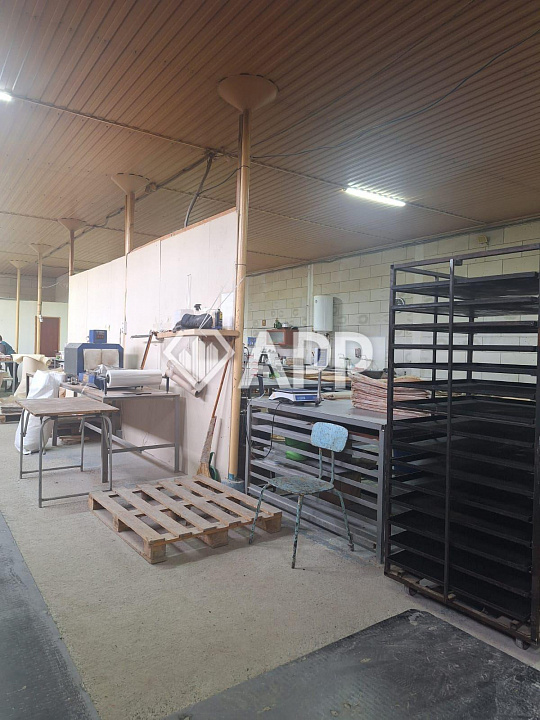 Сдам производственно-торговое помещение, площадью 400м² и 200м² холодный склад фото