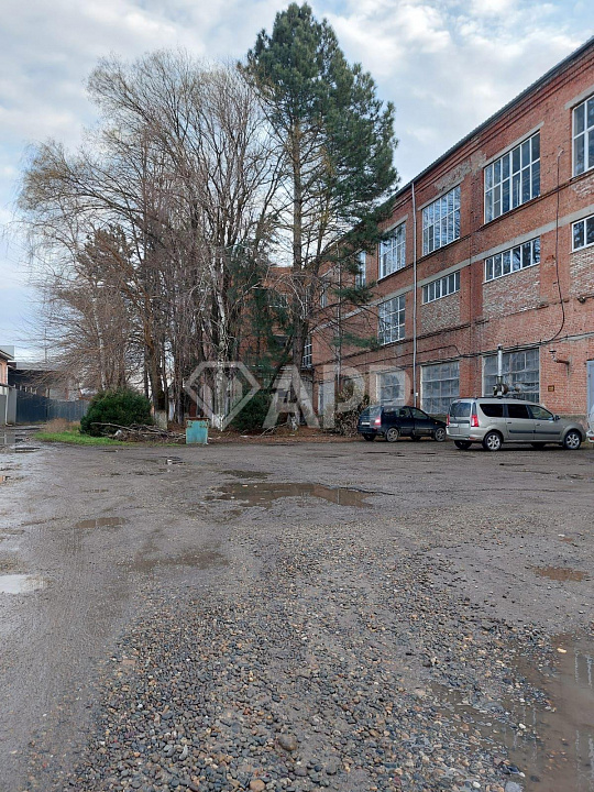 Сдам помещение свободного назначения, 3 000 м² фото