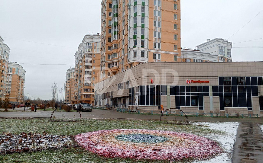 Сдаются два помещения свободного назначения. фото