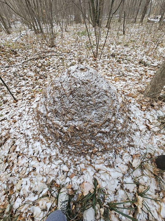 Продаётся земля для базы отдыха, 115 соток фото