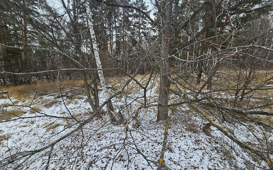 Продаётся земля для базы отдыха, 115 соток фото