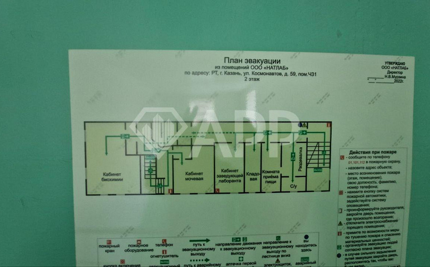 Офисное помещение 285м² с отдельным входом на траффике фото