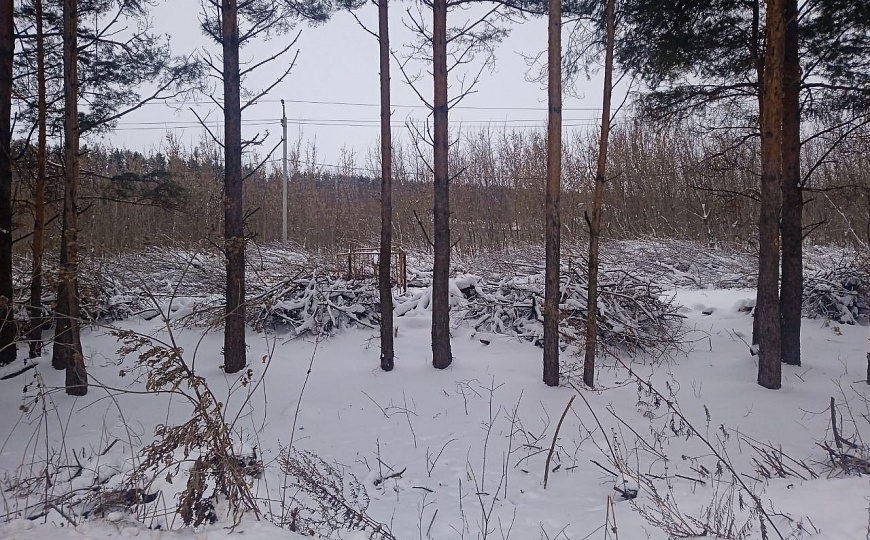 Зу деловой застройки фото