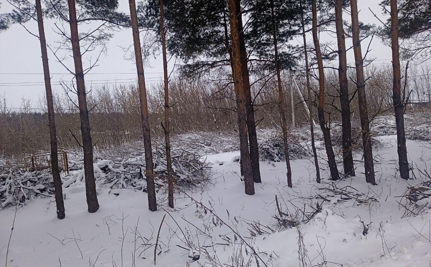 Зу деловой застройки фото