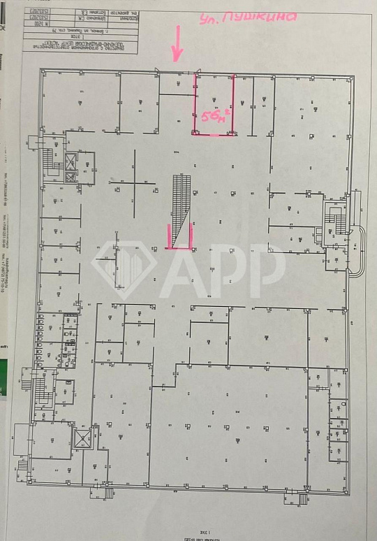 Сдам помещение свободного назначения, 53 м² фото