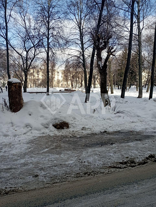 Свободного назначения фото