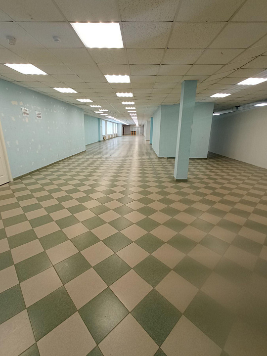 Сдам помещение свободного назначения, 24 м² фото
