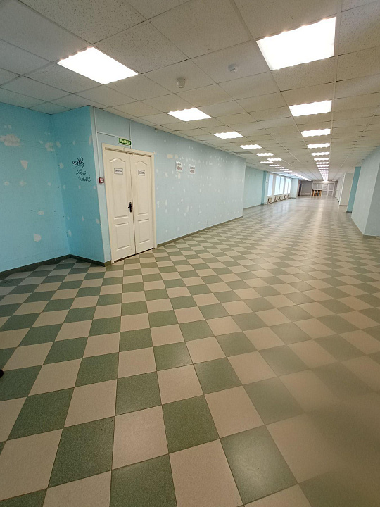 Сдам помещение свободного назначения, 24 м² фото