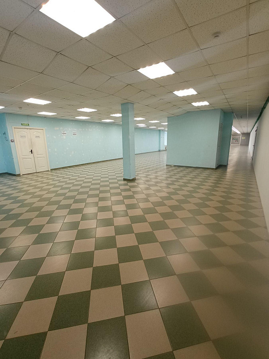 Сдам помещение свободного назначения, 24 м² фото