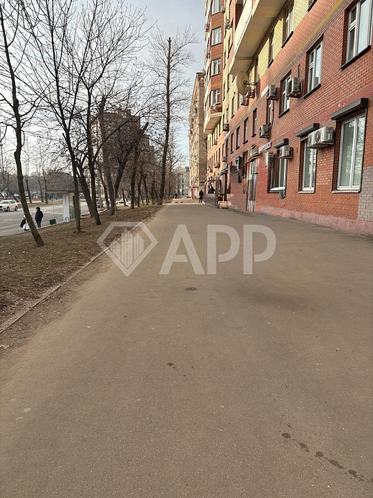 Помещение Свободного Назначения 1 линия фото