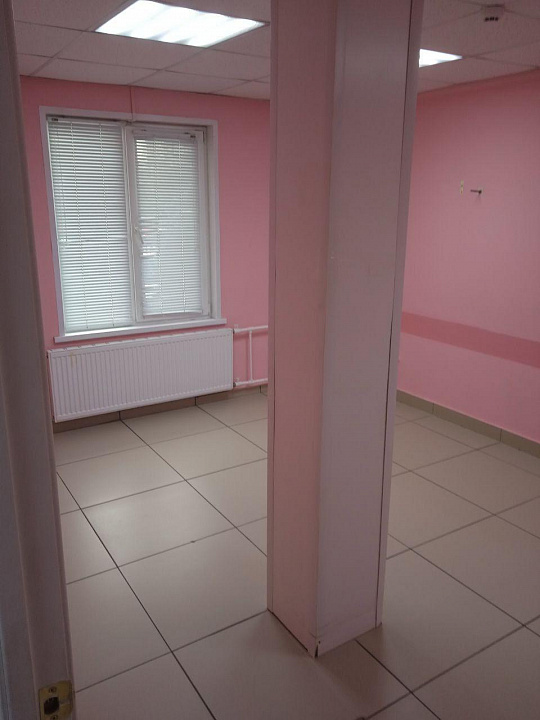 Помещение свободного назначения 120м² на пересечении Пушкинской и Холмогорова фото