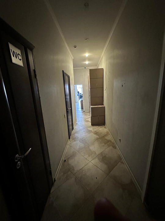 Сдам помещение свободного назначения, 354 м² фото
