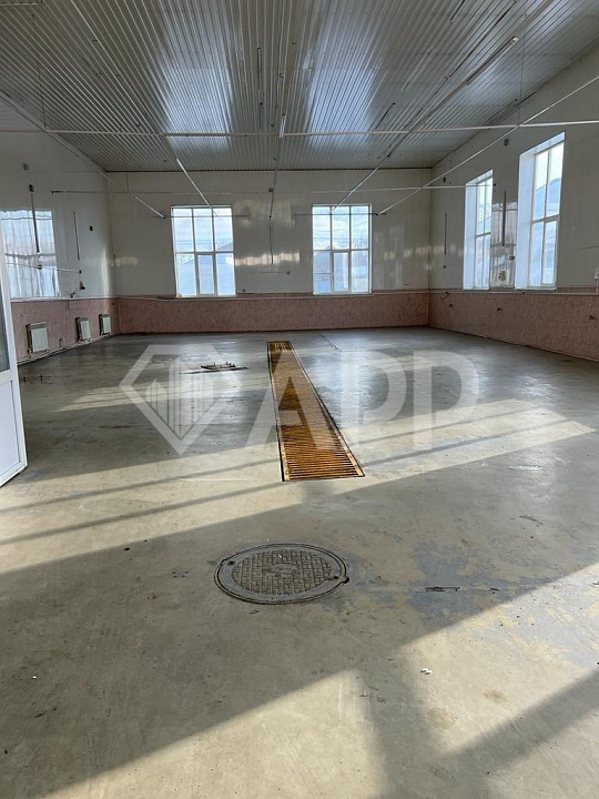 Сдам помещение свободного назначения, 230 м². С возможностью увеличения до 400 м² фото