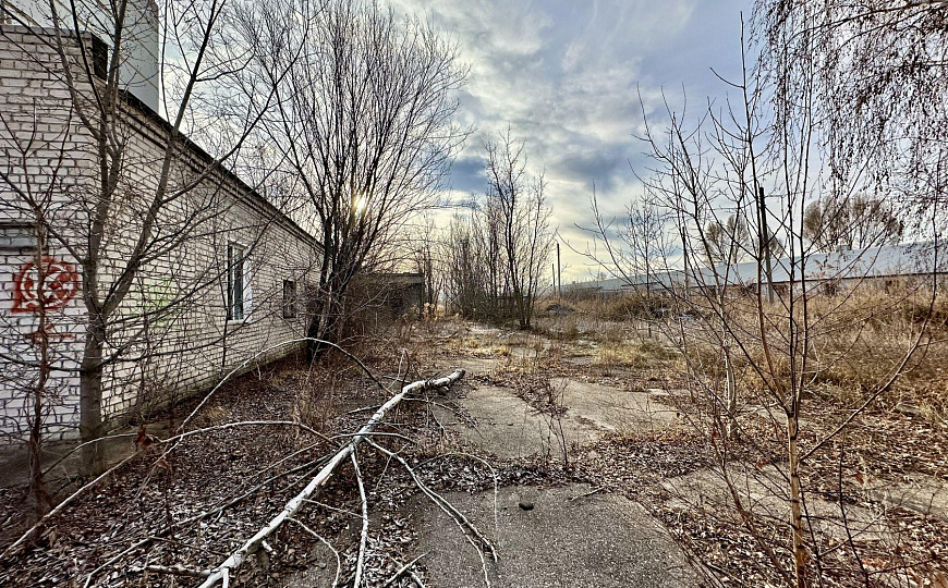 Продажа производственной базы 1500 м2 на участке 0,6 га в с.Курумоч фото