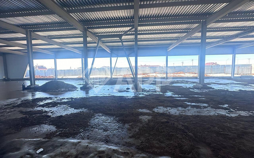 Сдам отдельно стоящее здание, 1 000 м² фото