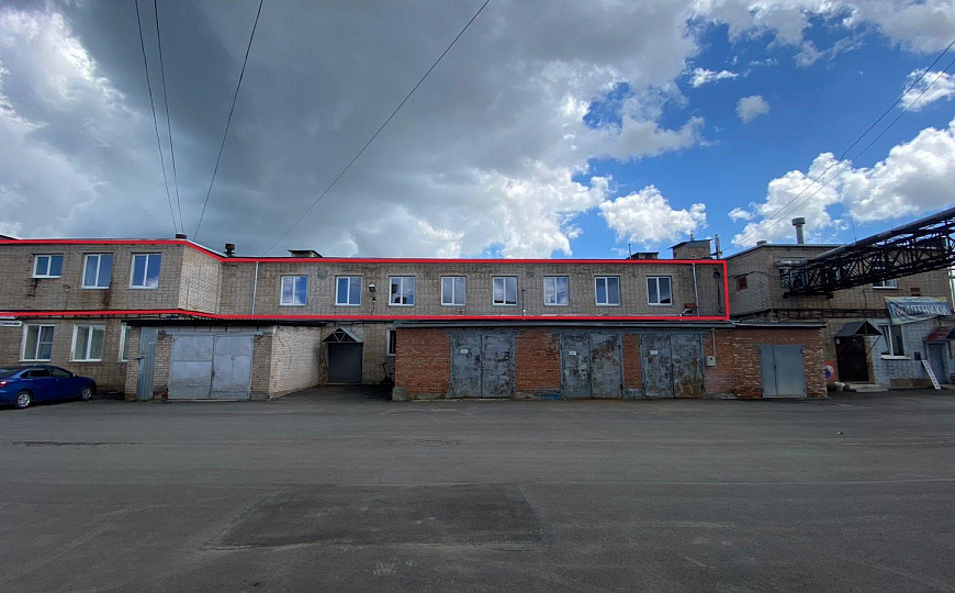 Сдам помещение свободного назначения, 260 м² фото