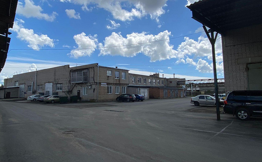 Сдам помещение свободного назначения, 260 м² фото