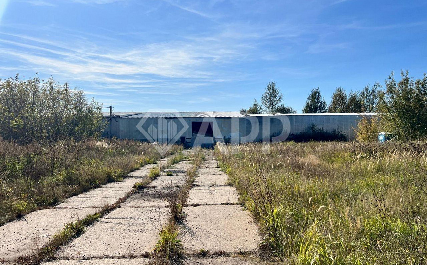 Сдам холодный склад, 5000 м² фото