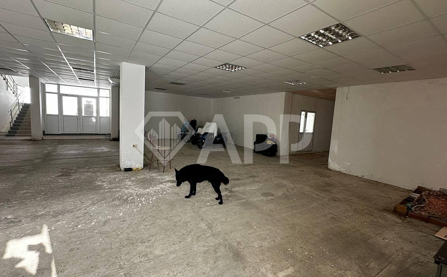 Продам земельный участок 5,41 Га Промплощадка ОЭЗ "Алабуга" с НДС фото