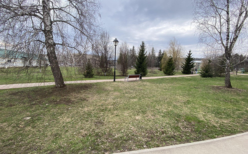 Сдам помещение свободного назначения, 230 м² фото
