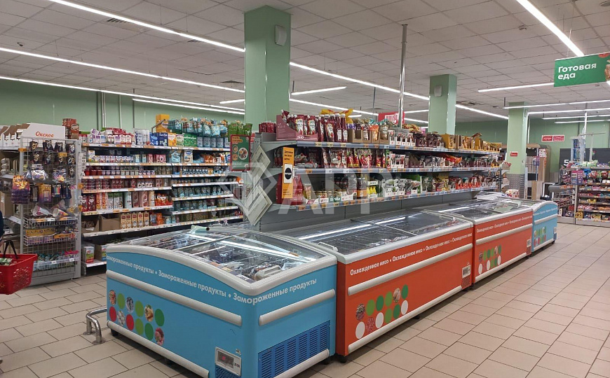 Продаю готовый арендный бизнес, 425 м² фото