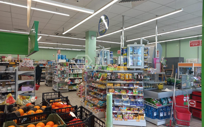 Продаю готовый арендный бизнес, 425 м² фото