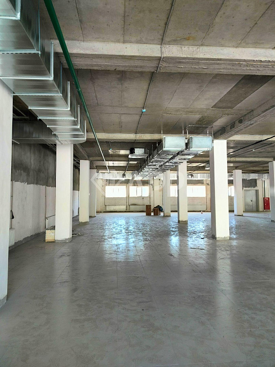 Сдам помещение свободного назначения, 500 м² фото