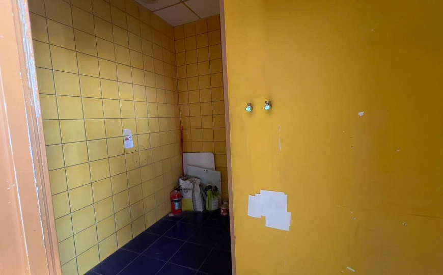 Сдам помещение свободного назначения, 230 м² фото