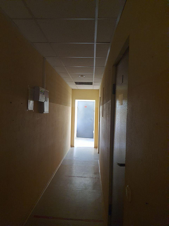 Сдам помещение в отдельно стоящем здании, 56,9 м² фото