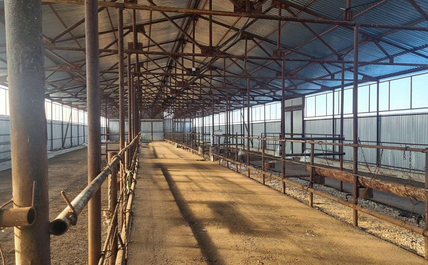 Сдам склад 850м² фото