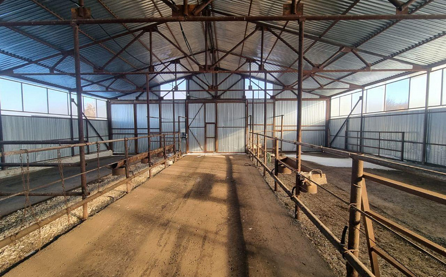 Сдам склад 850м² фото