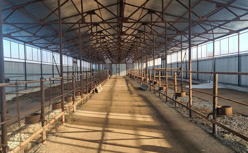 Сдам склад 850м² фото