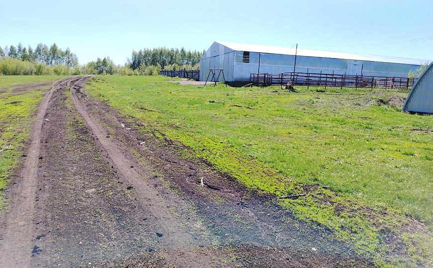 Сдам склад 850м² фото