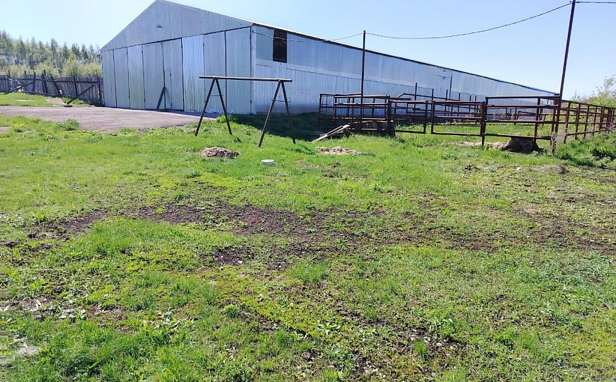 Сдам склад 850м² фото