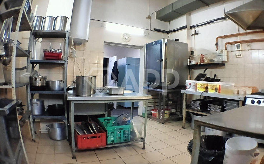 Сдам помещение общественного питания, 230 м² фото