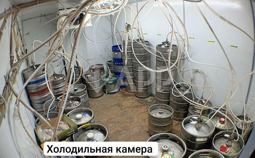 568 чел в час/трафик/Центр/Раскаченная точка фото