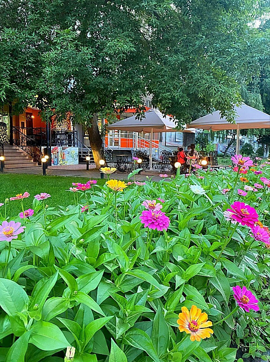 Кафе в центре. 102 м² фото