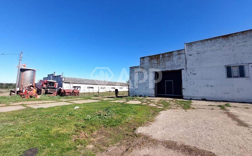 Производственно-складское помещение 3000м²-7000м² фото