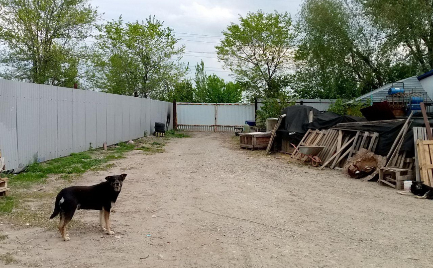 Сдается в аренду отдельно стоящее здание свободного назначения в промзоне. фото
