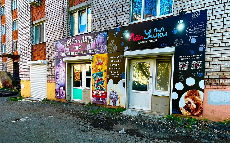 Сдам помещение свободного назначения 16,9м² фото