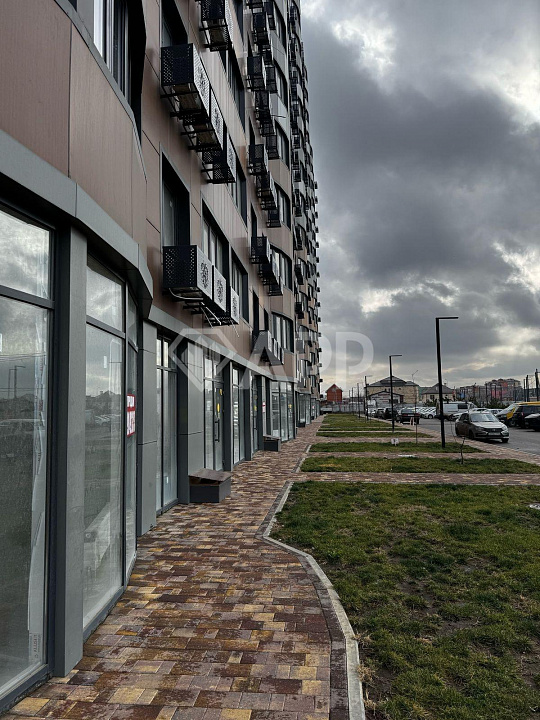 Сдам помещение свободного назначения, 50 м² фото