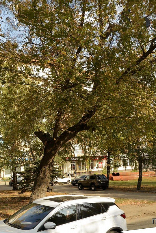 Сдам помещение на первой линии с отдельным входом. фото