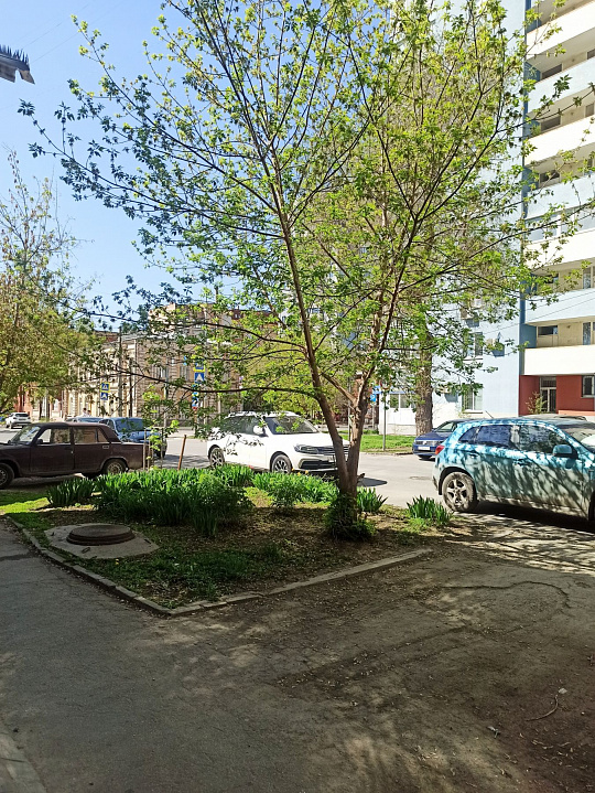 Продам помещение в центре города. фото