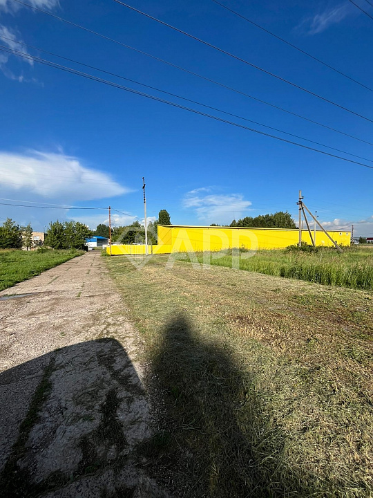 Сдается холодный склад 730 м² фото
