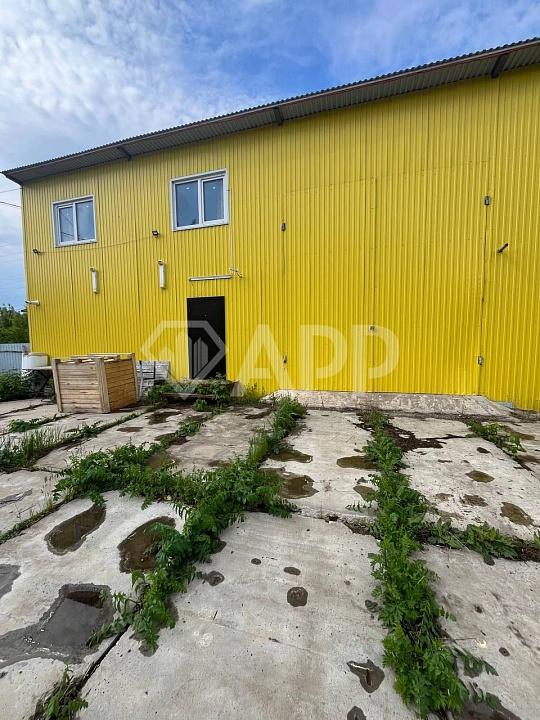 Сдается холодный склад 730 м² фото