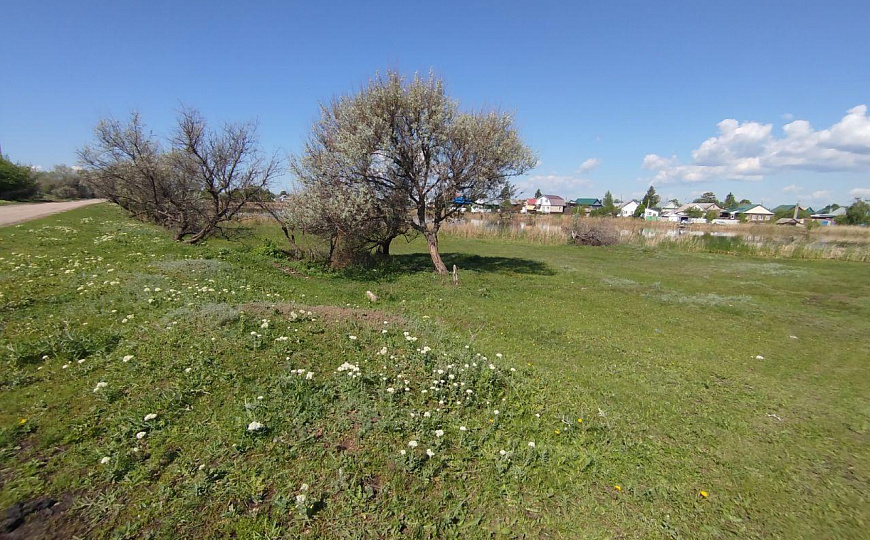 Продажа земельного участка 10,9 га фото