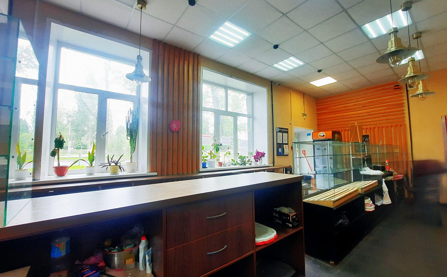 Сдам помещение свободного назначения, 71,8 м² фото