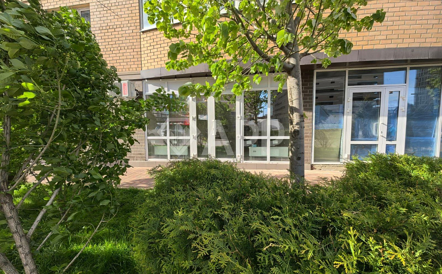 Сдаю помещение свободного назначения, 38,6 м² фото