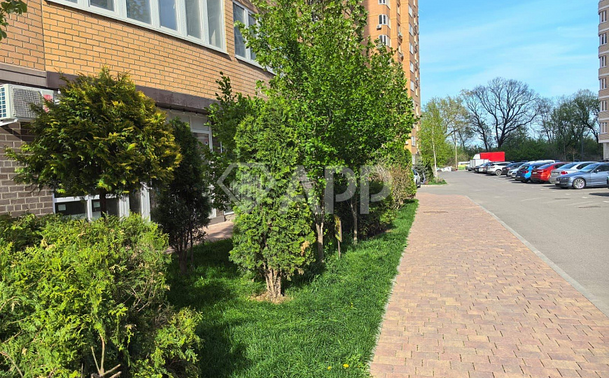 Сдаю помещение свободного назначения, 38,6 м² фото